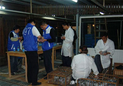 �Ϻ����ٴ���Ԥ����ʱ�ɼ���¯(ͼ)