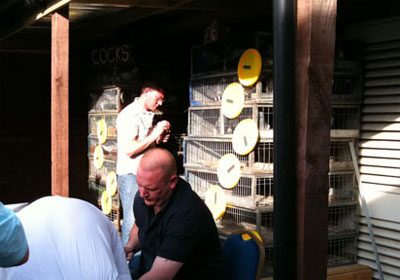 Ӣ���Ÿ�������뻨��(ͼ)