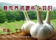 �ļ�����ιЩ�����