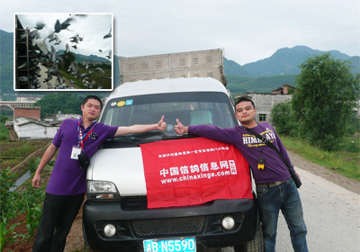 ���±������������������ѹ�����������࿪ս��