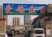 ����Ѽ���Ÿ���(һ)