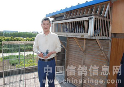 �Ϻ��ھŽ�һ���6736���رȹ��Ǽ������