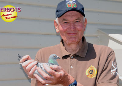 ���΢�һ���ھ���˹��