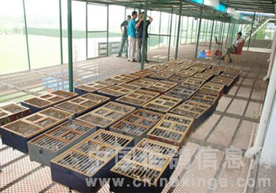 �Ϻ������������6��22��5��40�ַŷ�(ͼ)