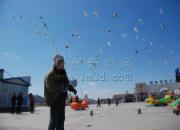 ����ա������ָ���������