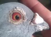 ��ͨ����2000�����ܹھ�(ͼ)