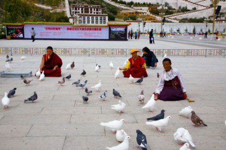 �����������˸��ӵ�����(ͼ)