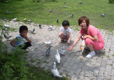 ��ĩ���޶�����(ͼ)