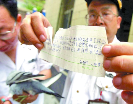 Ÿ봫顱 Ѱˡʯӡ(ͼ)