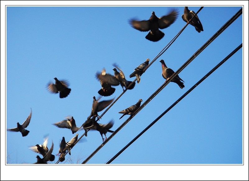 �߳����裨��ͼ���ͣ�