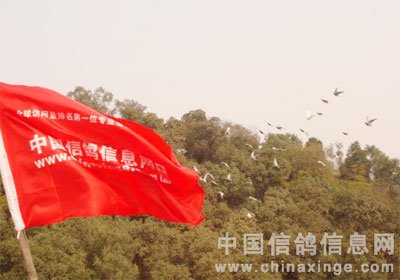 安度“暑伏”六措施(图)