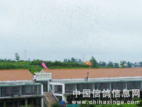 ����ר�ù�����ӹ���(ͼ)