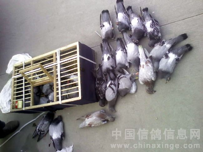 �ң��������������;�д�������(ͼ)