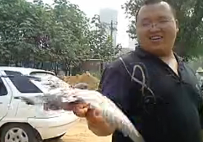 ���ߣ����Ű��Ϊ�İ㣿