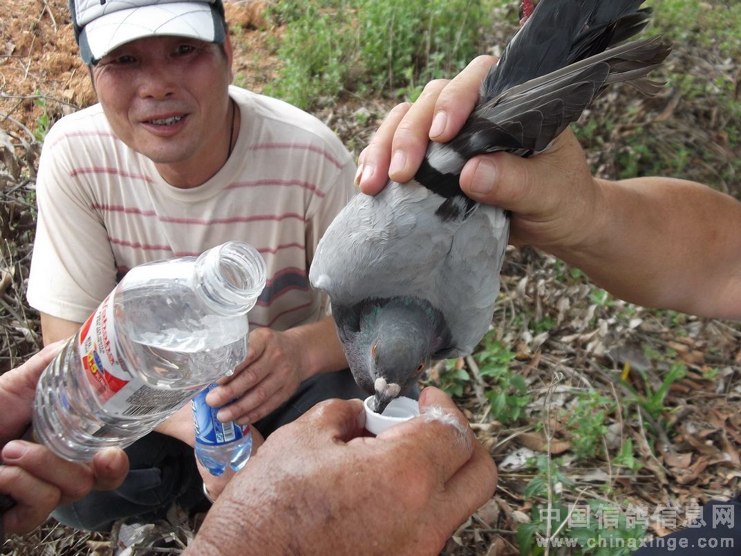 ������Э����ɭ�ֹ�����ɽ�����ȸ�