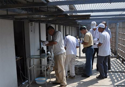 �й��Ÿ����ƥ�˴�������ʵ��(ͼ)