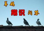 ���볣ʶ�ʴ�һ��