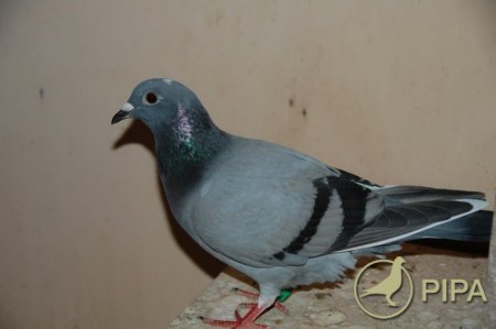 2010�����ʱ��ѱ����׸�(ͼ)