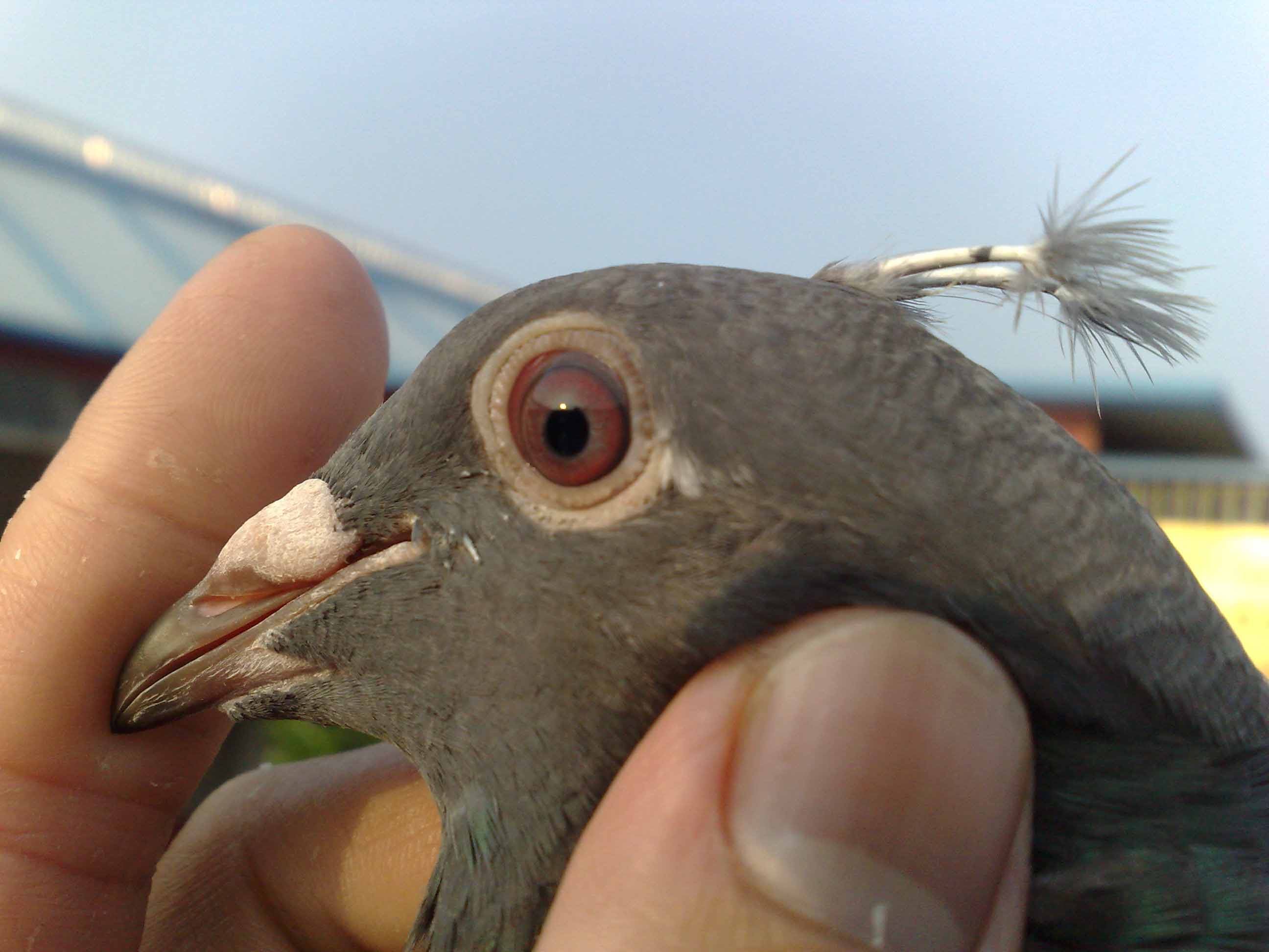 ����ġ�С�