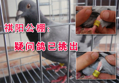 ����������ʸ�������(ͼ)