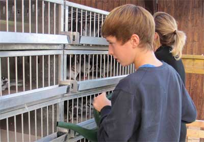 �¹�������һ������(ͼ)