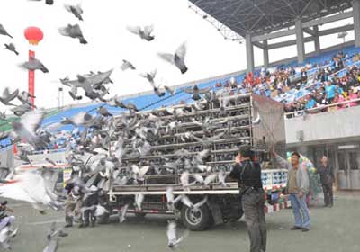 ������̨���Ϊ�������̨�˶���Ųʸ�(ͼ)