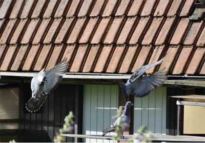 007����������(��)��������