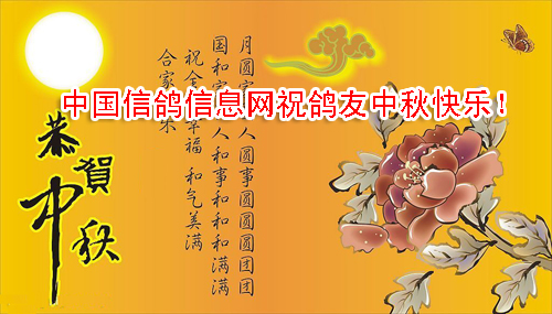 �й��Ÿ���Ϣ��ףȫ������������֣�