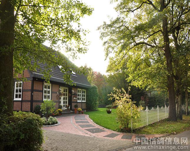 ������飺��ĸо�(ͼ)