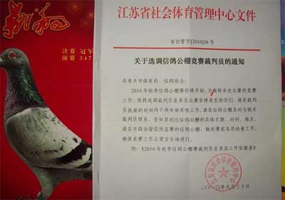 ����ѡ�����ﾺ������Ա��֪ͨ