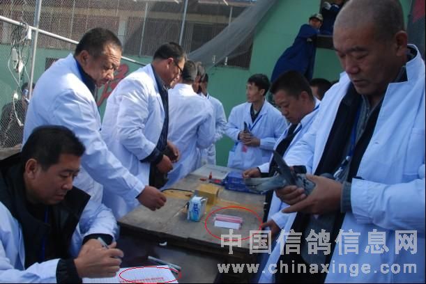 ����������ٹ���6��50�ֿ���(ͼ)