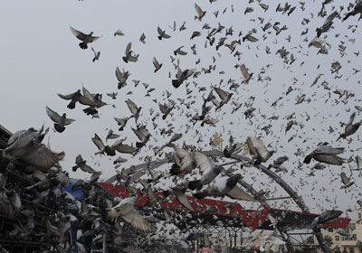 2010�걱����200Ԫ���رȻ�����(ͼ)