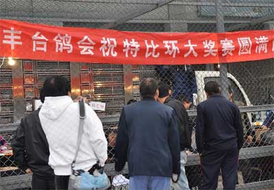 ������̨���19���رȻ��ʸ��������ֳ�