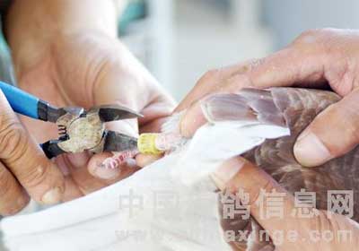 ������δ���Ѹ����(ͼ)