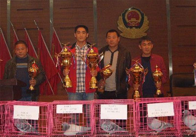 ���������﹫�������ֳ�����