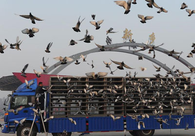 �����＾600Ԫ���رȻ�7:30�����翪��