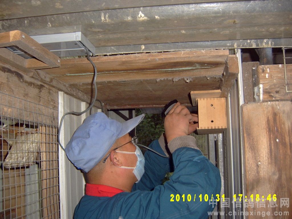 װ����̤��(ͼ)