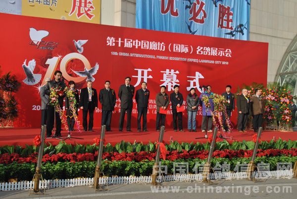 2010ʮȷʸչʢĻ(ͼ)