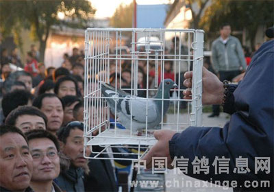 �������蹫��500��������ھ���(ͼ)