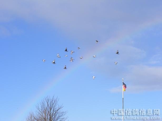 ץסÿһ�������(ͼ)