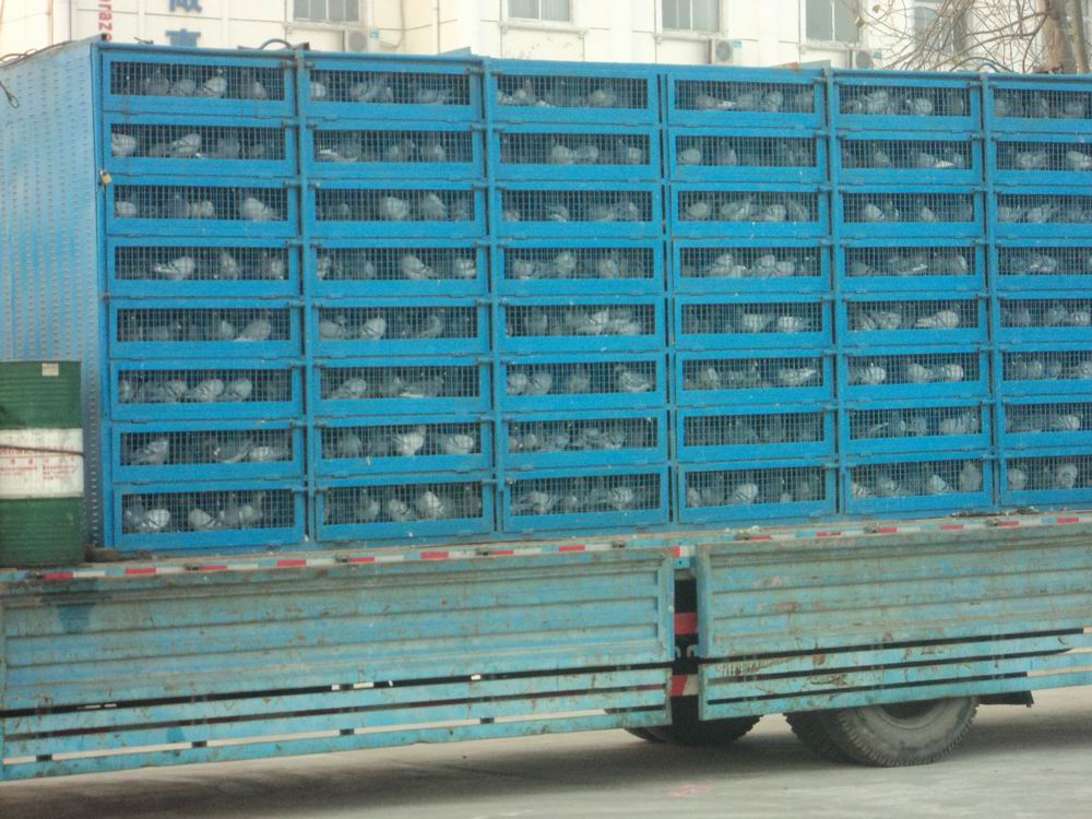 ���ǿ���4465��500���������7��48��ս(ͼ)