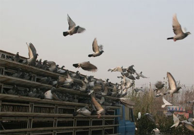 �й����ʹ������ڶ��ؿ����ֳ�(ͼ)