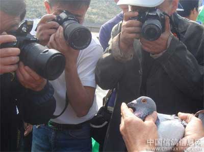 �������������(ͼ)