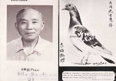 �������ѣ������ϡ����Ƭ��