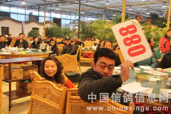 ���ǿ��ռ�ǿ���������Ի�