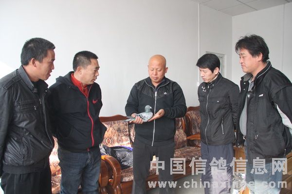 ����������������ͽ����(ͼ)