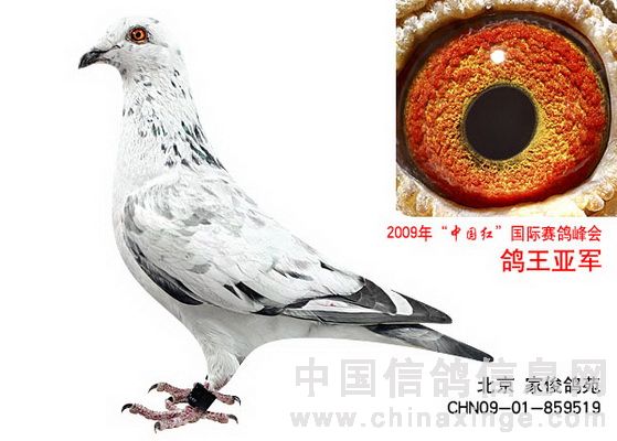 140�򡰰�ѩ�������ļ�԰�����ҿ���Է