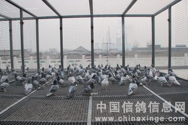 ��ѩ���������¼�԰(ͼ)