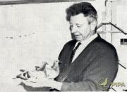 ���������ǵĹ���(ͼ)