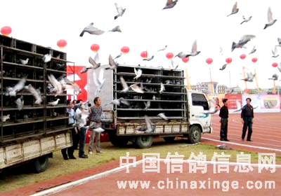 2300��ʸ�Ϊũ���˶�������(ͼ)